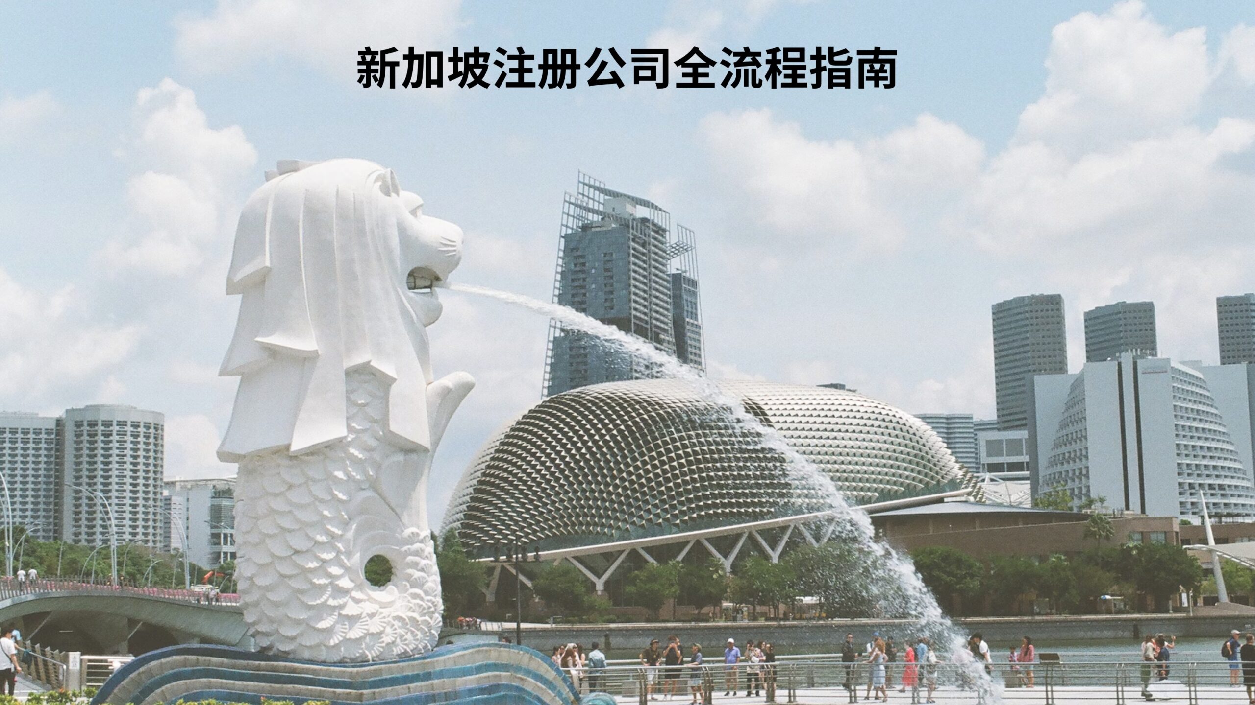 新加坡注册公司全流程指南